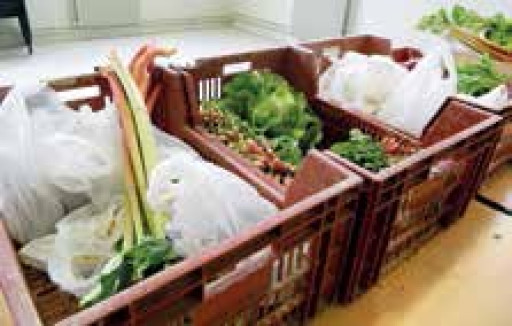 Ouverture d’une troisième Ruche à Amiens