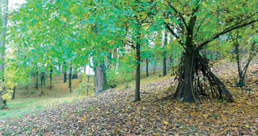 Soissons et son théâtre romain : un élément majeur à redécouvrir ?