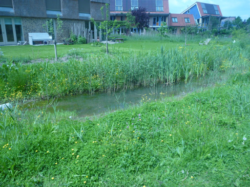 Aux Pays-Bas, Grande-Synthe a rendez-vous avec l'urbanisme durable