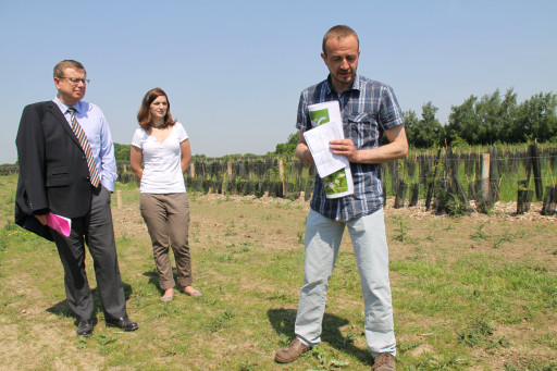 Plan fôret régional : restauration de boisements