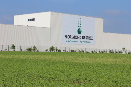 Vendre des blés à biotechnologies de seconde génération