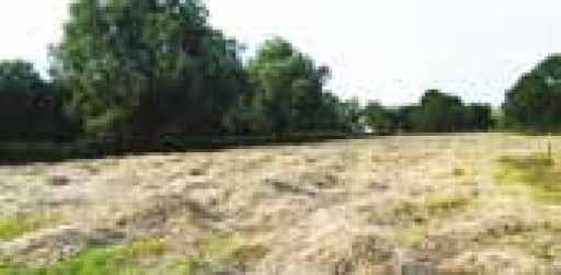 Monoprix s’installe dans la gare de Saint-Quentin