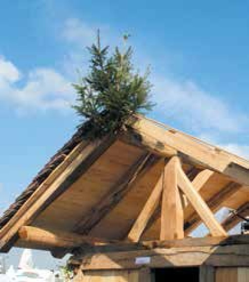 Et bois, et bois, et bois…