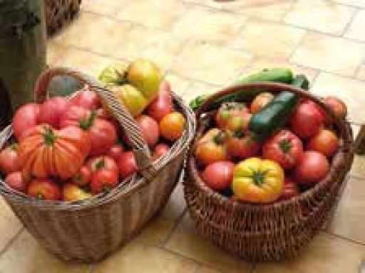 Le boom de l’agriculture biologique en Picardie