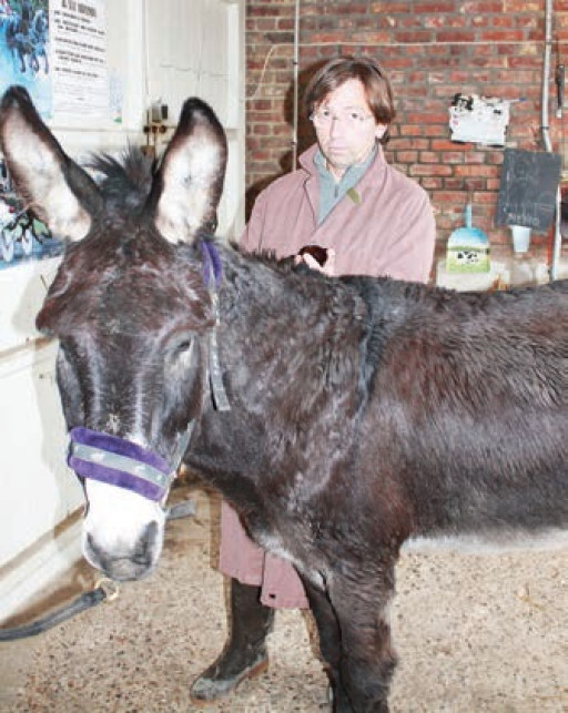 Les vétérinaires en colère