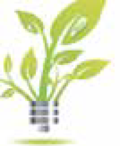 L'essentiel de Meuse et des Vosges