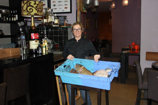 La pêche du jour au menu