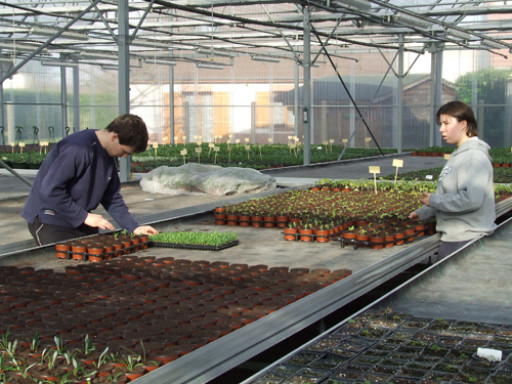 Le lycée horticole de Raismes innove tous azimuts