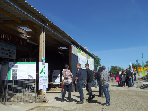 De l'herbe au pluriel