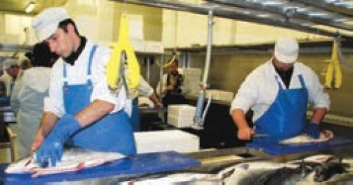 Radioscopie d’une filière régionale importante