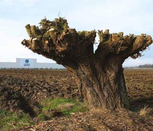 François Desprez : «On se sent déjà chez nous !»