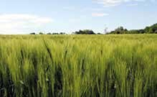 Changement de climat…