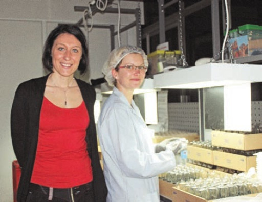 Jenniver intègre SGD