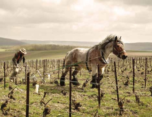 David Rase, son objectif : l'humain !