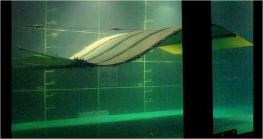 Eel Energy lève des fonds pour son hydrolienne à membrane