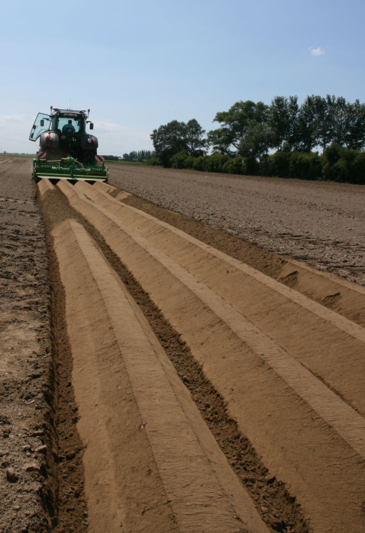 Le Nord-Pas-de-Calais reste une grande région agricole