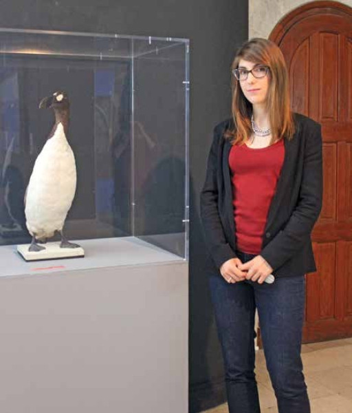 Boucher-de-Perthes, musée ancré dans le territoire