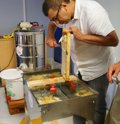 Récolte de miel et esprit solidaire chez EDF