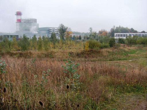 Une friche de 17,3 hectares intéresse le groupe Quadran