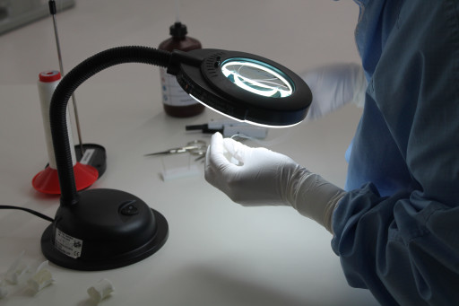 Se former en s’immergeant dans une entreprise : le pari réussi de Clubster Santé