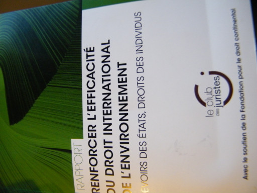 Le droit environnemental (encore) virtuel...