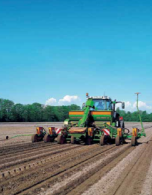 Sophie Muller chapeaute le beau