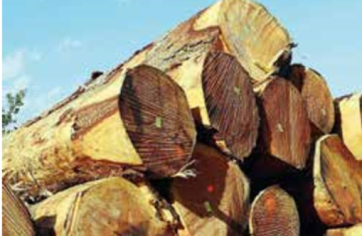 Bois Énergie à Nancy