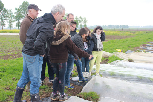 Des cartes postales gourmandes pour illustrer les talents locaux