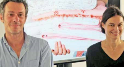 La région Hauts-de-France s’engage sur l’apprentissage