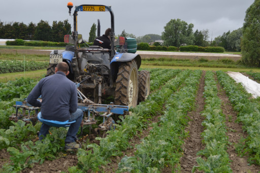 Les réseaux Dephy en région Hauts-de-France