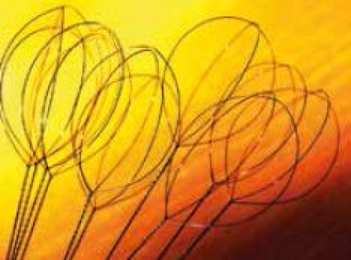 Nimesis compose l’alliage de compétences