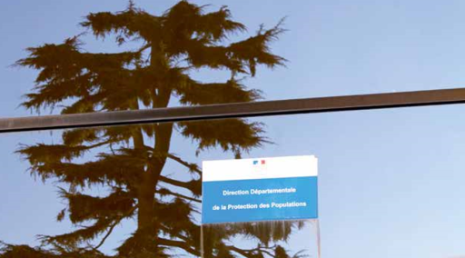 La DDPP protège les consommateurs