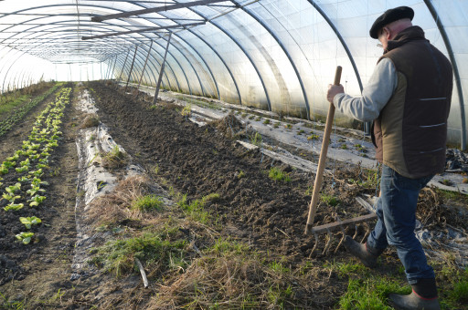 Heureux qui, comme Denis Gheerardyn, est devenu paysan