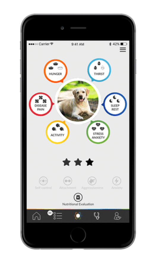 Jagger & Lewis lance la commercialisation de son collier connecté