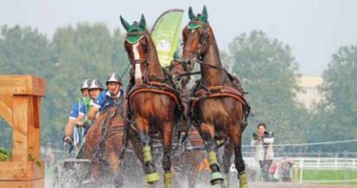 Team Hordé cherche mécènes…