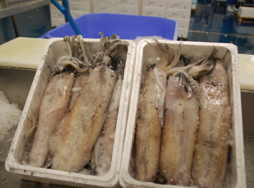 Les comptes sont revenus dans le vert