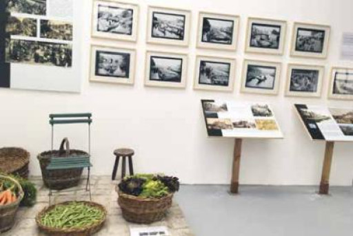 L’écomusée consacré aux hortillonnages ouvre ses portes
