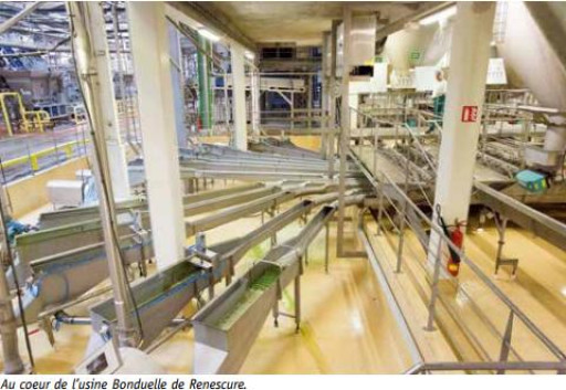 Bonduelle ou la course contre la montre