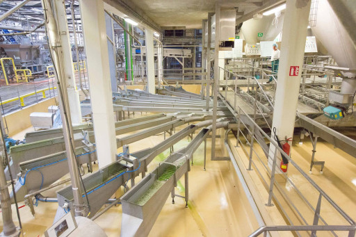 Bonduelle ou la course contre la montre