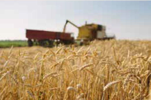 AGRICULTURE De coup dur en coup dur