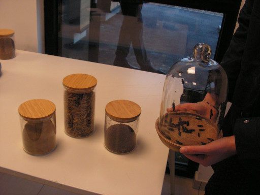 De la farine de protéines à base de larves de mouches