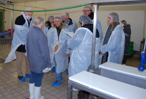 A la rencontre d'Opale filetages