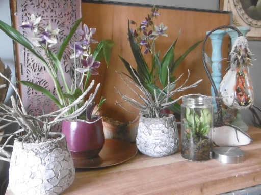 Marlène Constantin le dit avec des fleurs