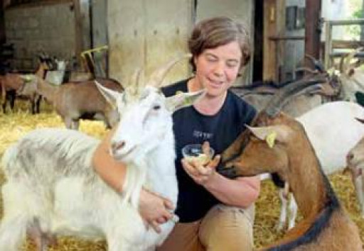DE LA GLACE AU LAIT DE CHÈVRE