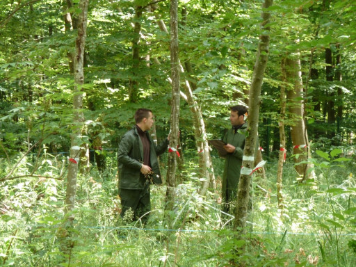 EcoSustain : Pour une gestion durable des écosystèmes forestiers