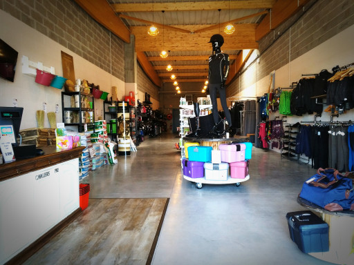 Cavaliers Pro : Une histoire de chevaux !