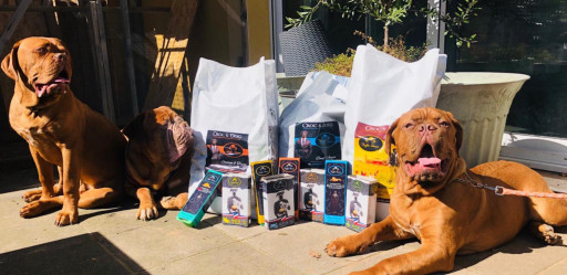 Truffes Dorées : Un espace culinaire dédié aux chiens et chats