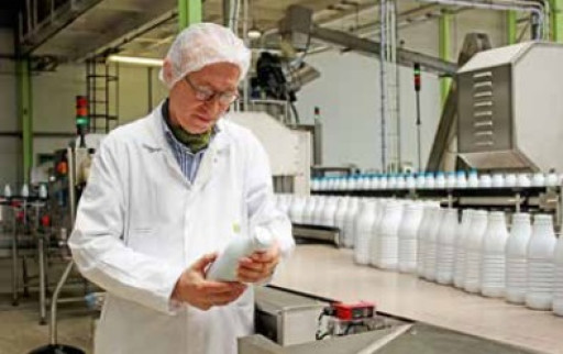 Le lait à la croisée des chemins