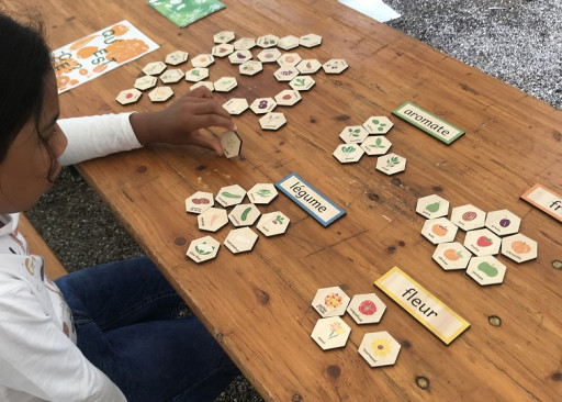 Aurélie Marzoc : Une designeuse engagée au service de la biodiversité