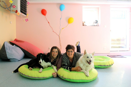 Crèche’N Dog : Un endroit idyllique pour vos compagnons de vie